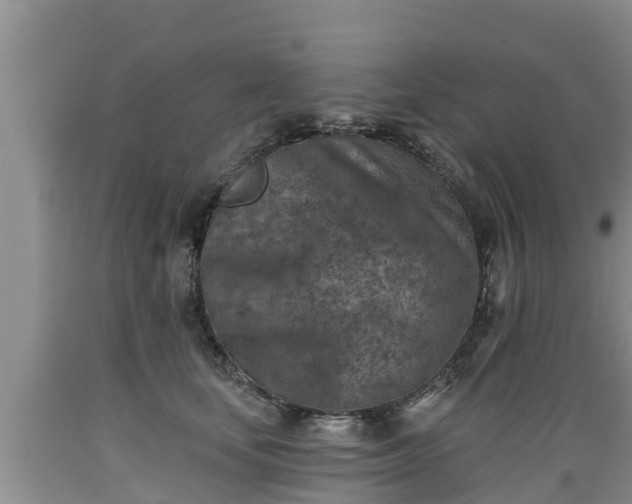 X0000089340659200706221118