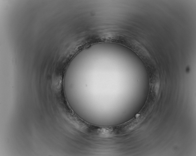 X0000089340660200706221118