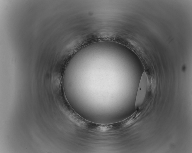 X0000089340662200706221118