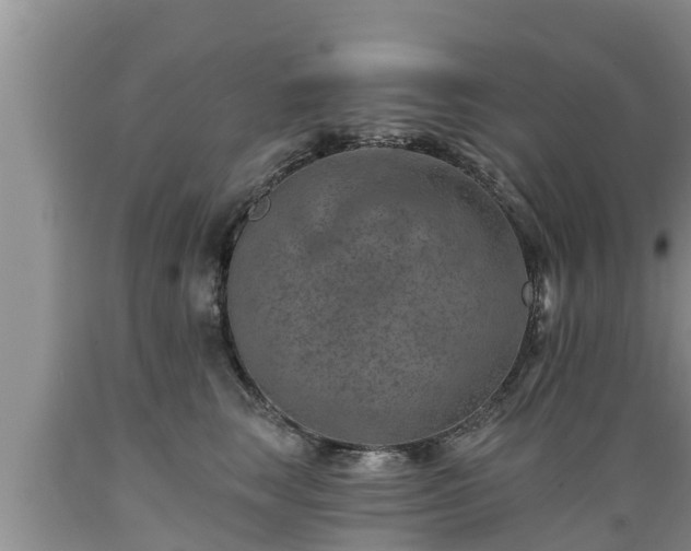 X0000089340663200706221118