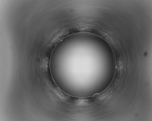 X0000089340664200706221118