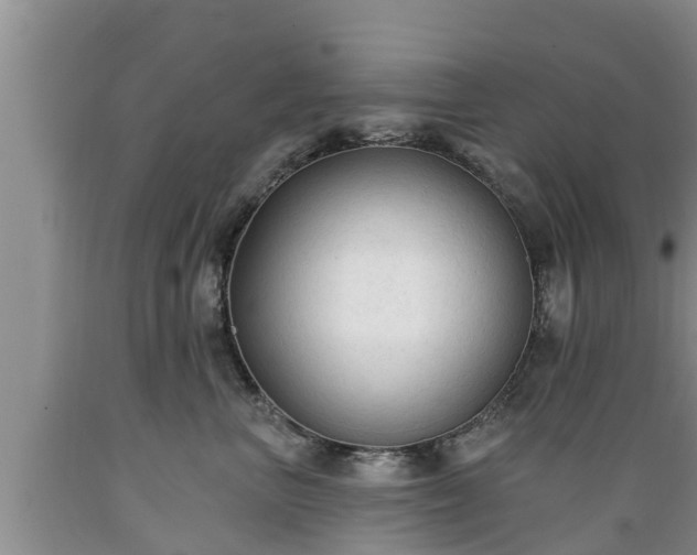 X0000089340667200706221118