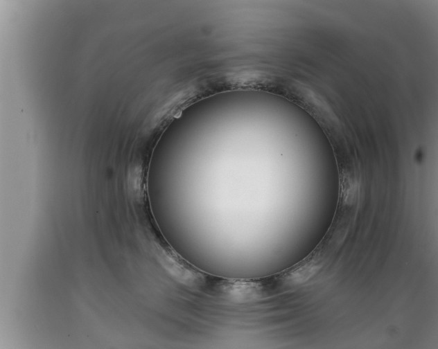 X0000089340670200706221118