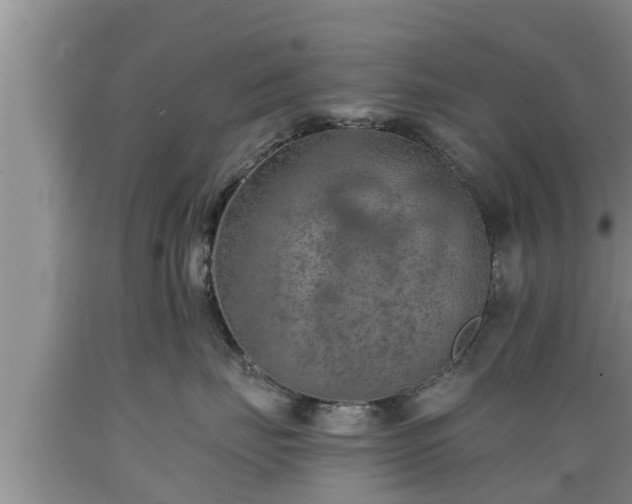 X0000089340671200706221118