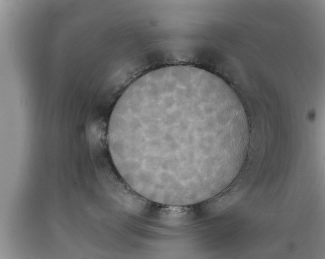X0000089340672200706221118
