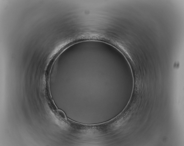 X0000089340674200706221118