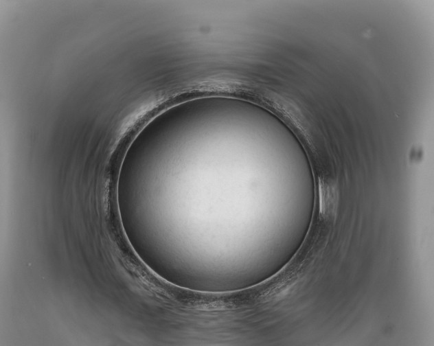 X0000089340675200706221118