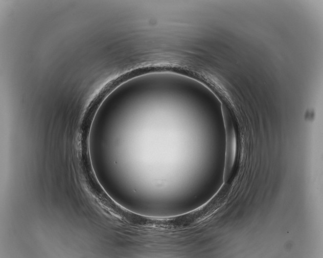 X0000089340676200706221118
