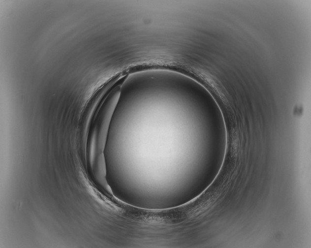 X0000089340677200706221118