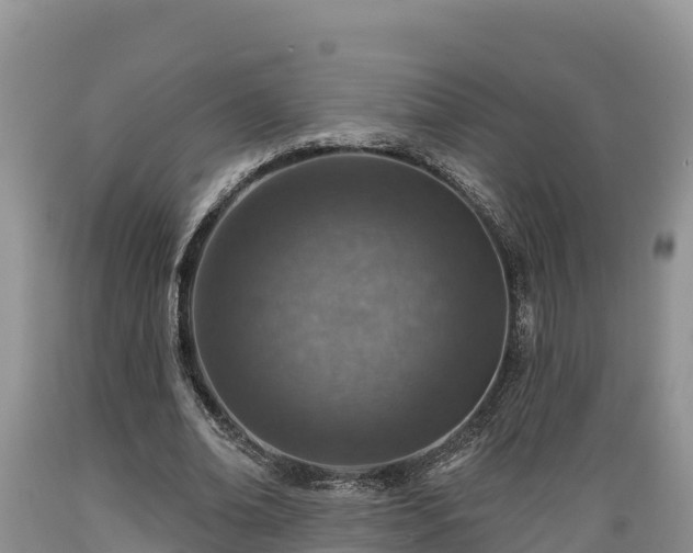 X0000089340678200706221118