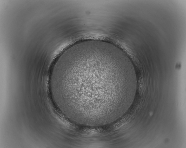 X0000089340679200706221118