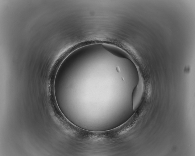 X0000089340680200706221118