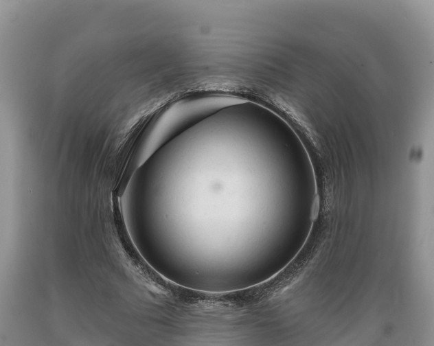 X0000089340681200706221118