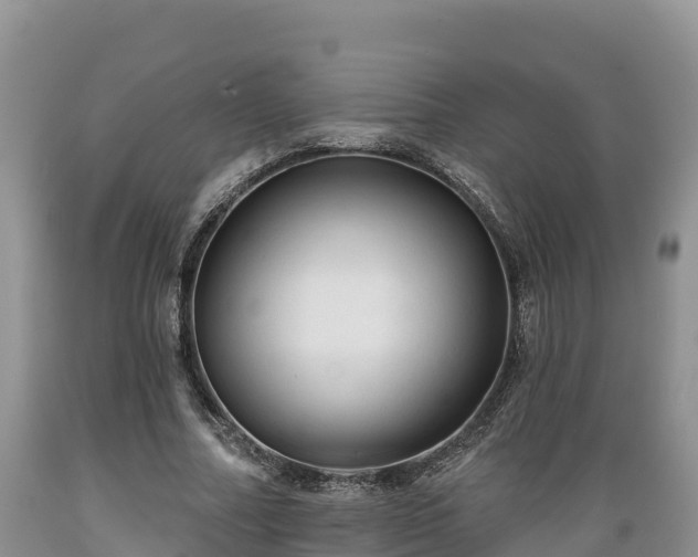 X0000089340682200706221118