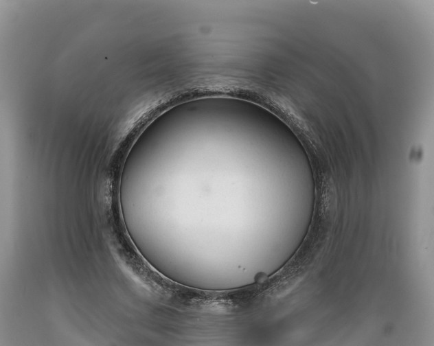 X0000089340683200706221118