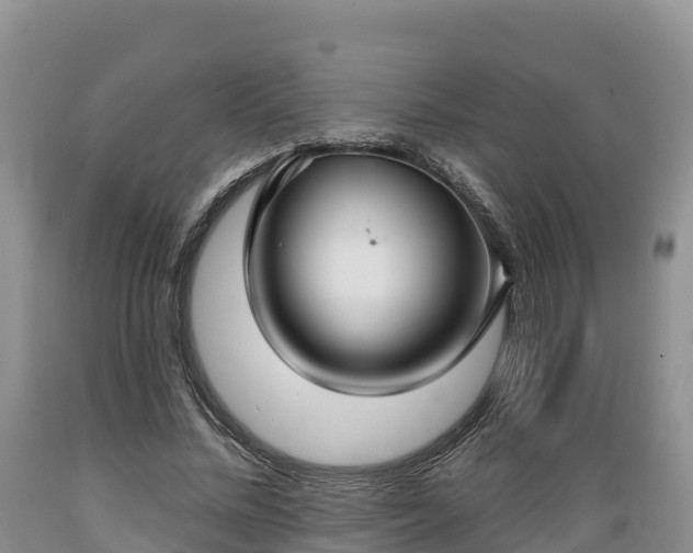 X0000089340684200706221118