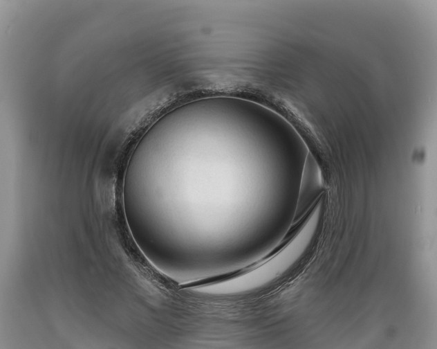 X0000089340685200706221118
