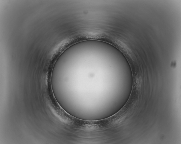 X0000089340686200706221118