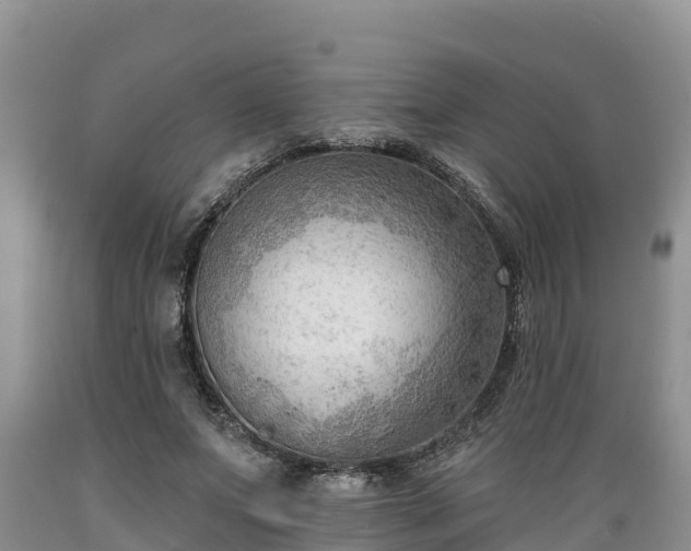 X0000089340687200706221118