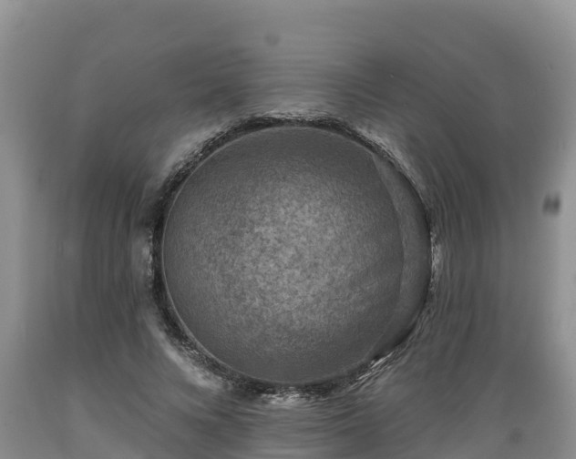 X0000089340688200706221118