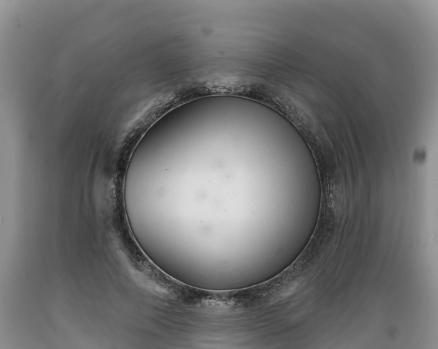 X0000089340690200706221118