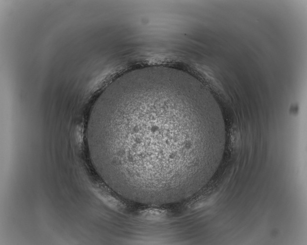 X0000089340691200706221117