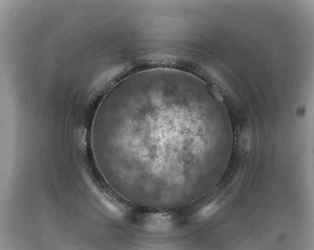 X0000089340692200706221117