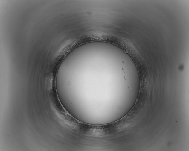 X0000089340694200706221117
