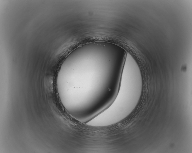 X0000089340696200706221117