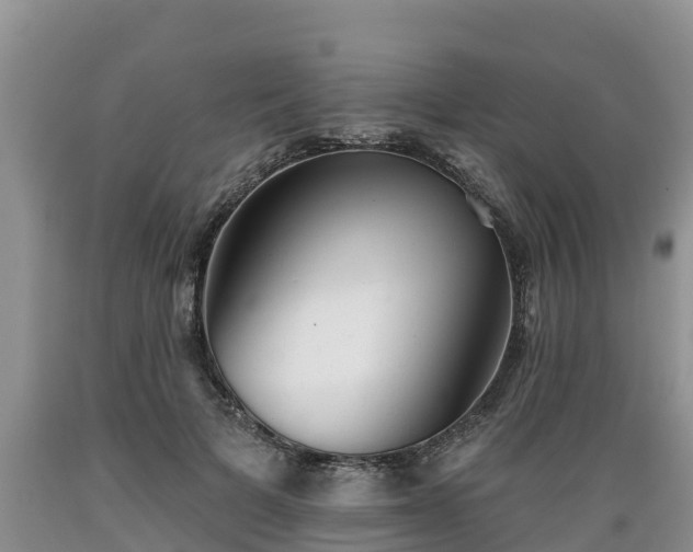 X0000089340697200706221117