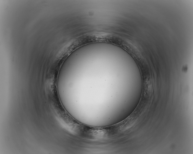 X0000089340698200706221117