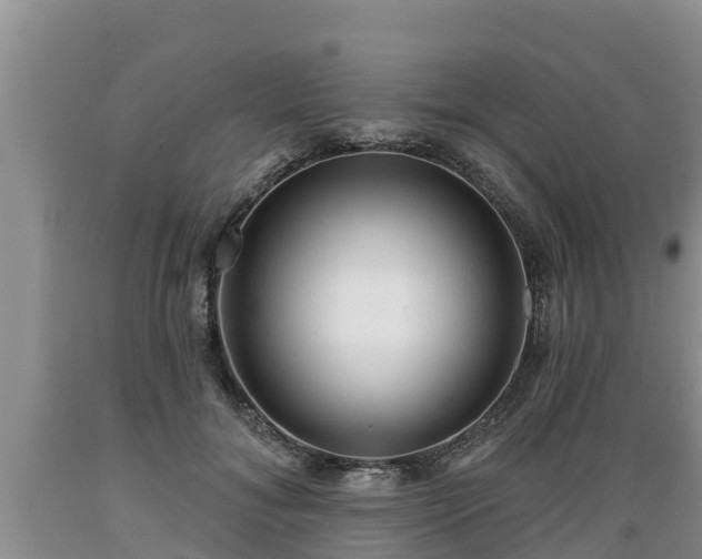 X0000089340700200706221117