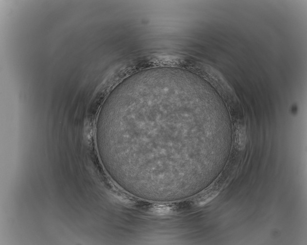 X0000089340701200706221117