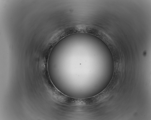X0000089340702200706221117