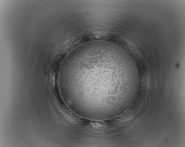 X0000089340703200706221117