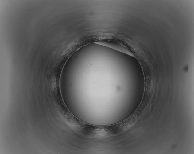 X0000089340704200706221117