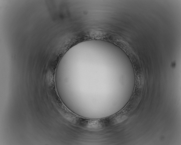 X0000089340705200706221117