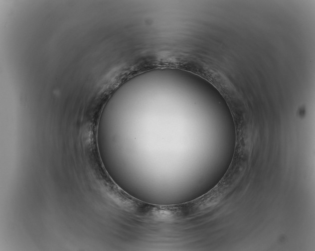 X0000089340706200706221117