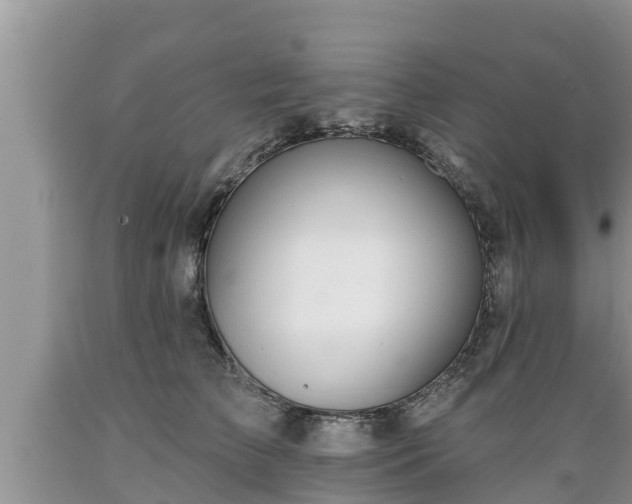 X0000089340709200706221117