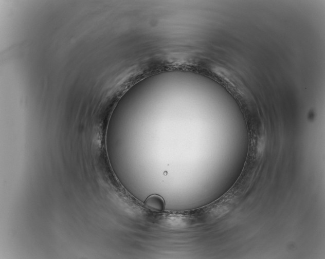 X0000089340710200706221117