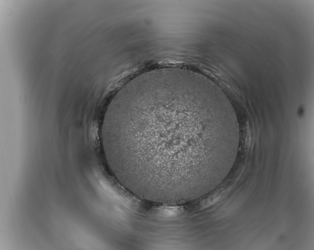 X0000089340711200706221117