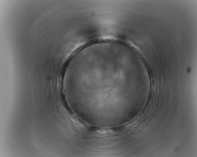 X0000089340712200706221117