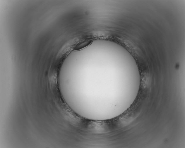 X0000089340713200706221117