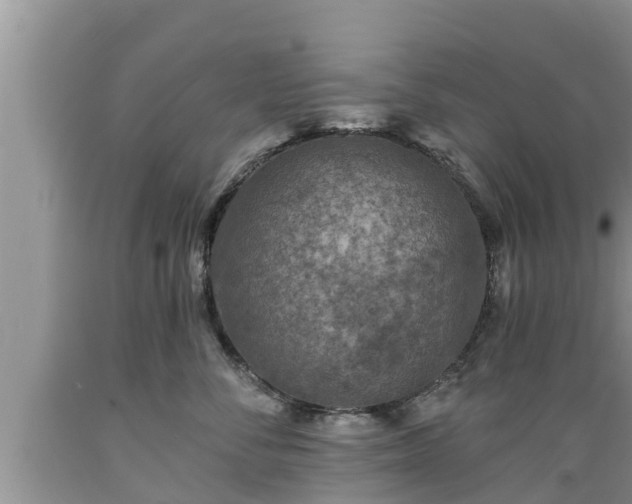 X0000089340716200706221117