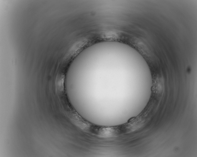 X0000089340717200706221117