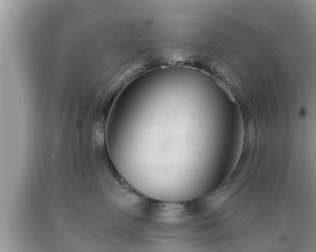 X0000089340719200706221117