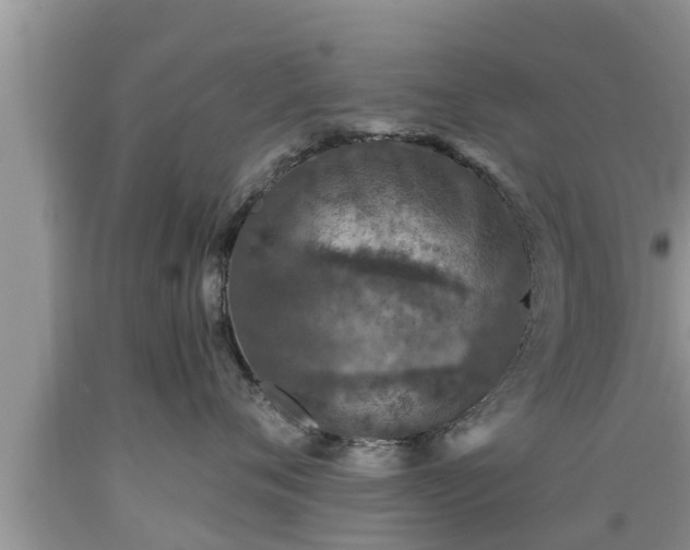 X0000089340720200706221117