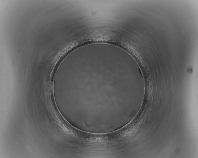 X0000089340721200706221117