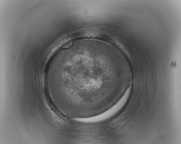 X0000089340722200706221117