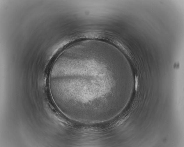 X0000089340723200706221117
